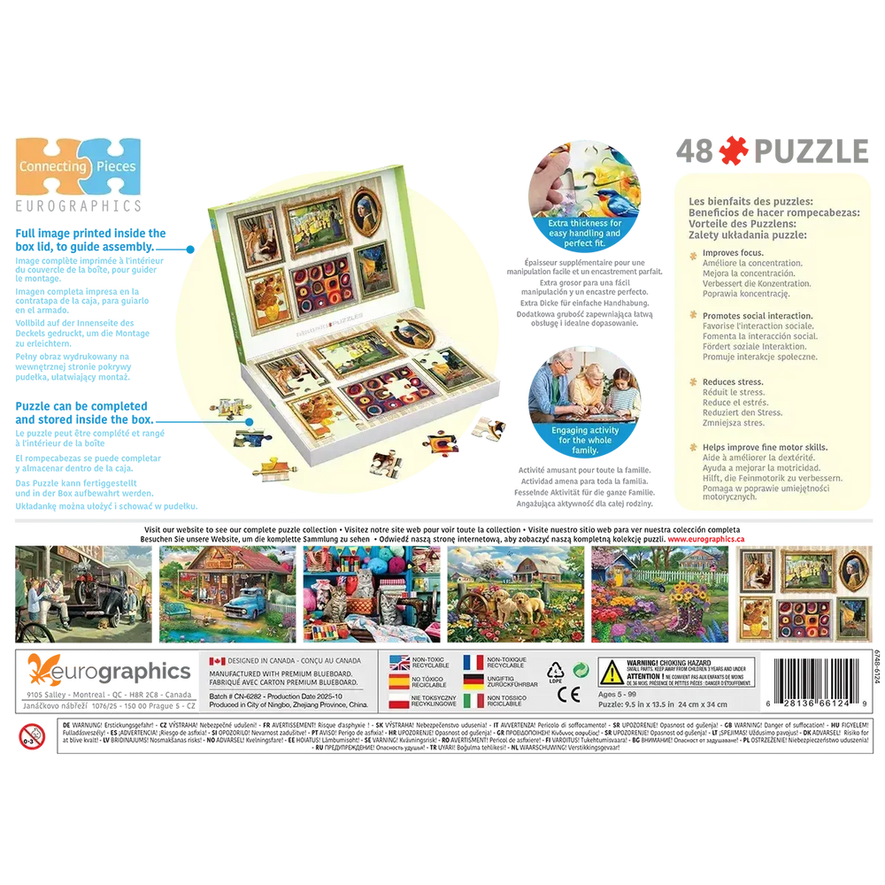 Fine Art Gallery Wall 48 Connecting Pieces Jigsaw Puzzle Eurographics