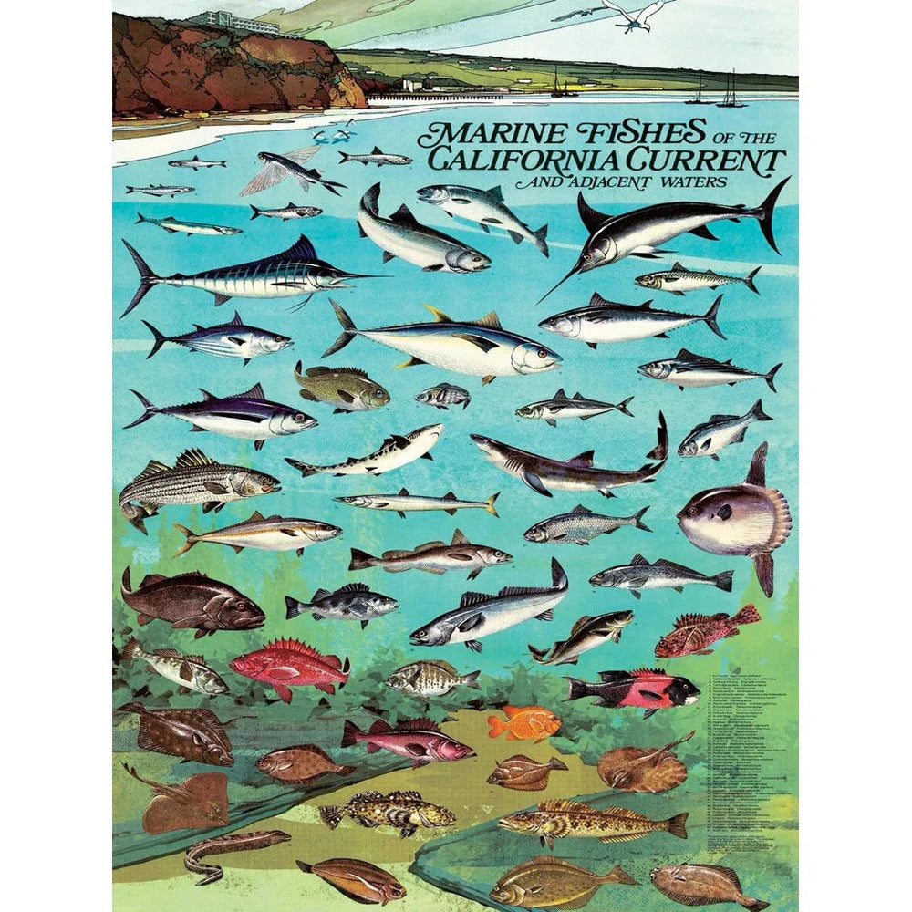 Fishes of the California Current 1000 Piece Jigsaw Puzzle NYPC (ONLINE ORDER ONLY)