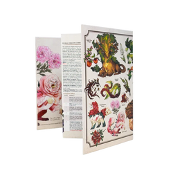 The Field Guide to Floral Dragons - Game Master Screen