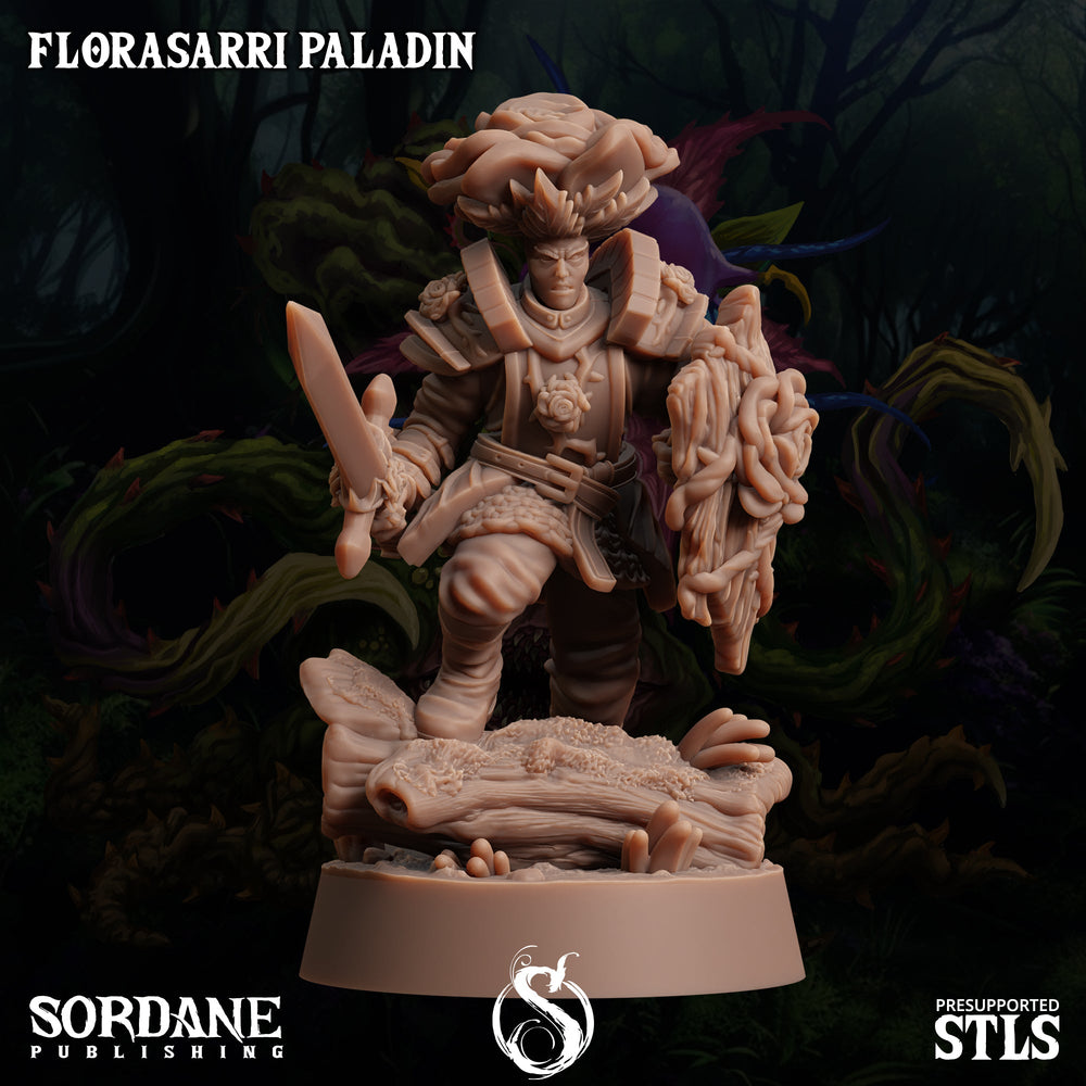 3D Printed Sordane Publishing Florasarri Paladin Cupid's Embrace Set 28 32mm D&D (Online Only)