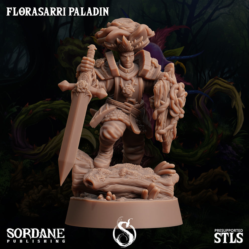 3D Printed Sordane Publishing Florasarri Paladin Cupid's Embrace Set 28 32mm D&D (Online Only)
