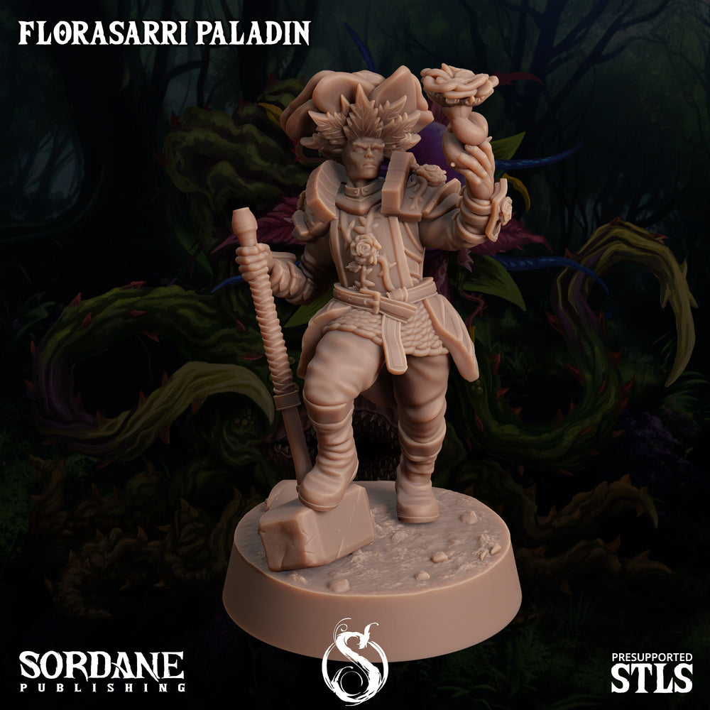 3D Printed Sordane Publishing Florasarri Paladin Cupid's Embrace Set 28 32mm D&D (Online Only)
