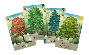 Forest Shuffle (ONLINE ORDER ONLY)