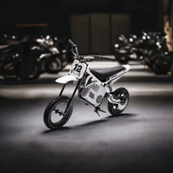 36V Freddo Electric Dirt Bike with Brushless Motor (ONLINE ORDER ONLY)