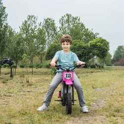 36V Freddo Electric Dirt Bike with Brushless Motor (ONLINE ORDER ONLY)