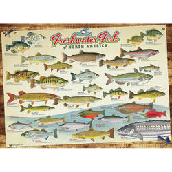 Freshwater Fish of North America 1000 Piece Jigsaw Puzzle Cobble Hill (ONLINE ORDER ONLY)
