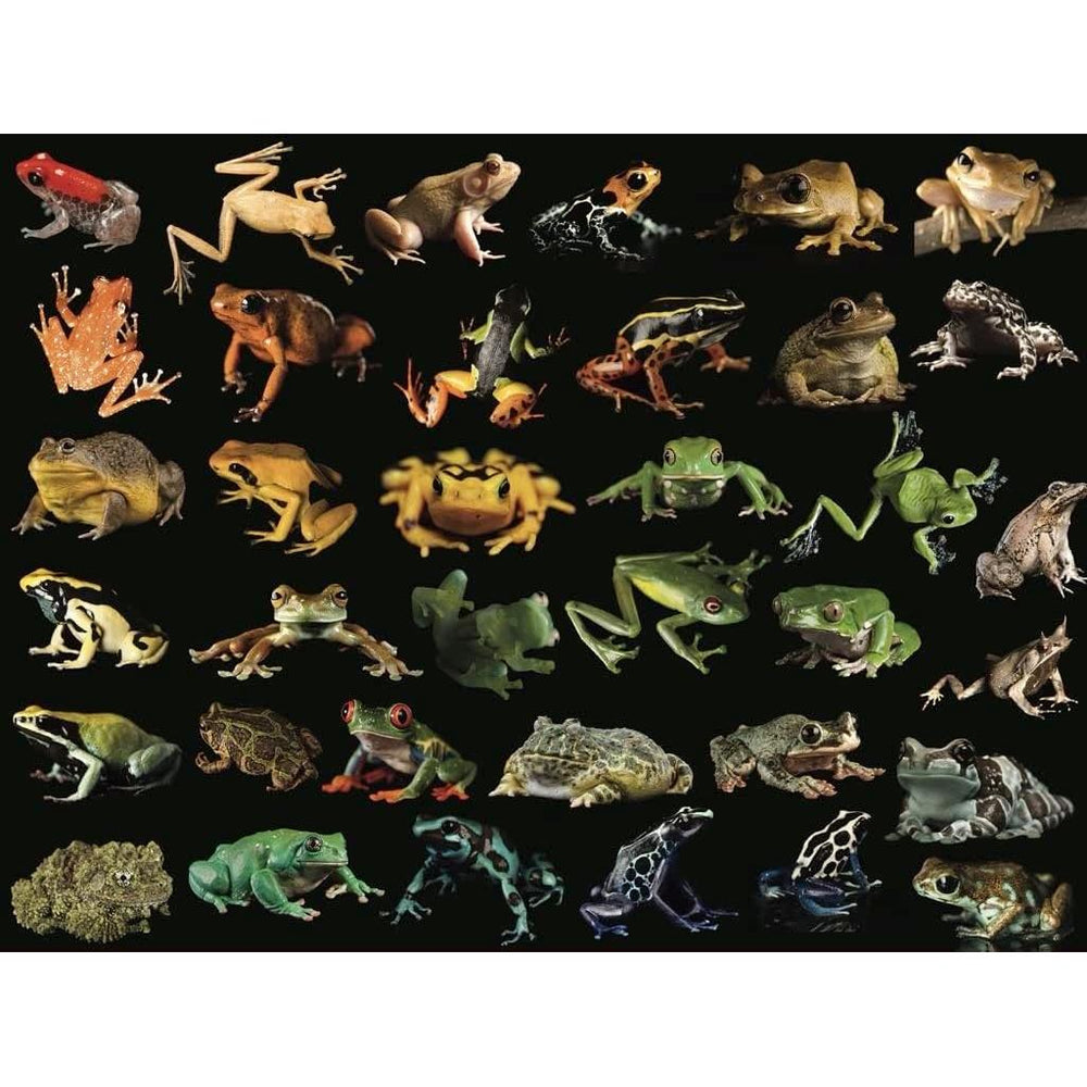 Frogs National Geographic Photo Ark 500 Piece Jigsaw Puzzle NYPC (ONLINE ORDER ONLY)