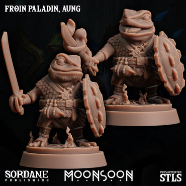 3D Printed Sordane Publishing Froin Paladin Aung Moonsoon 28 32mm D&D (Online Only)