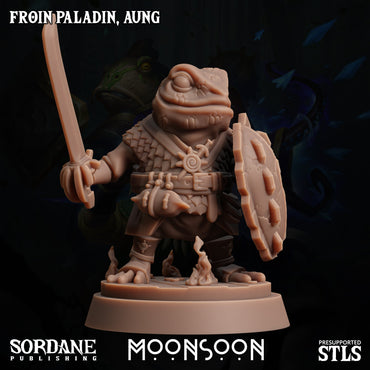 3D Printed Sordane Publishing Froin Paladin Aung Moonsoon 28 32mm D&D (Online Only)