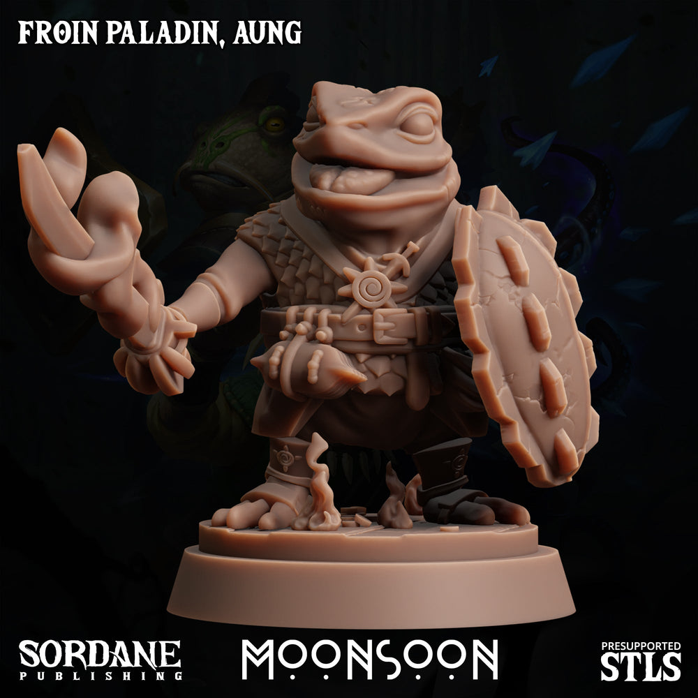 3D Printed Sordane Publishing Froin Paladin Aung Moonsoon 28 32mm D&D (Online Only)