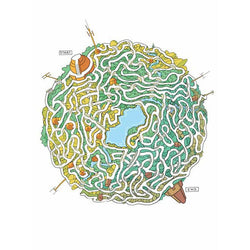From Here to There: A Book of Mazes to Wander and Explore Chronicle (ONLINE ORDER ONLY)
