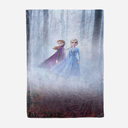Frozen Blanket Flannel Throw Room Decoration (Online Order Only)