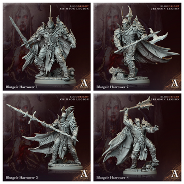 3D Printed Archvillain Games Blutgeir Harrower Bloodright - Crimson Legion 28 32mm D&D (Online Only)