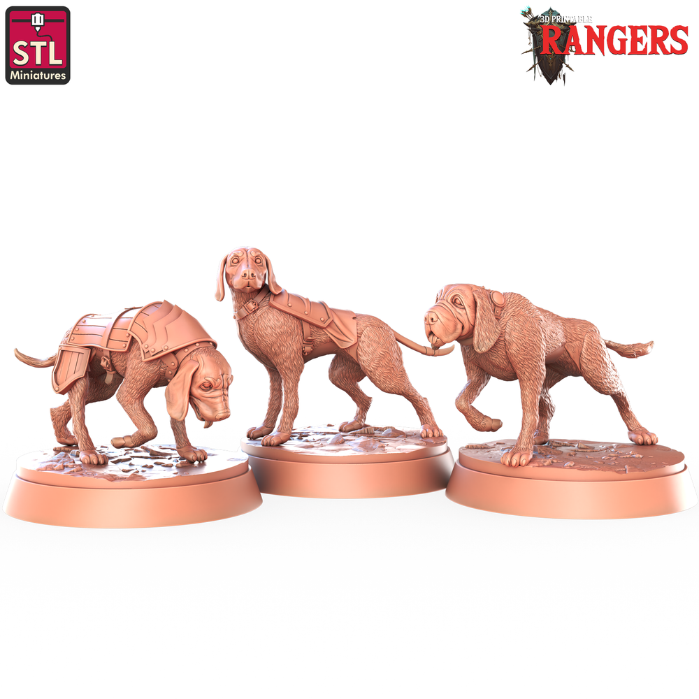 3D Printed STL Miniatures Ranger Hounds Rangers  28 - 32mm War Gaming D&D (Online Only)