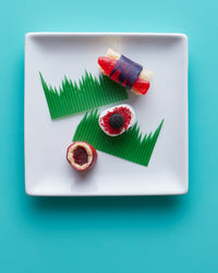 Candy Sushi Craft Kit (ONLINE ORDER ONLY)