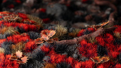 Gamers Grass | Alien Tuft | Alien Blood Moon