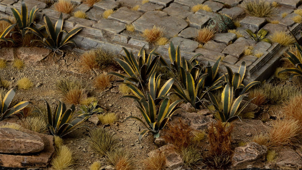 Gamers Grass | Laser Plants | Agave (ONLINE ORDER ONLY)