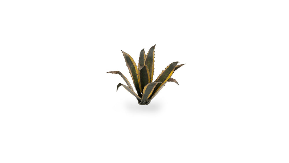 Gamers Grass | Laser Plants | Agave (ONLINE ORDER ONLY)