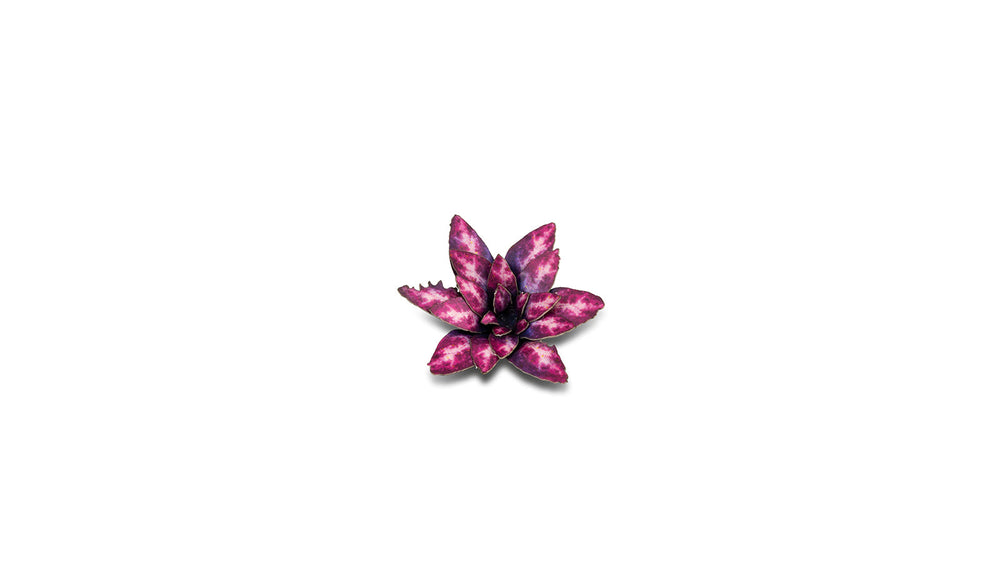 Gamers Grass | Laser Plants | Alien Rosette