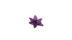 Gamers Grass | Laser Plants | Alien Rosette