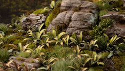 Gamers Grass | Laser Plants | Deer Fern