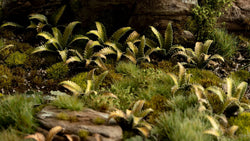 Gamers Grass | Laser Plants | Deer Fern