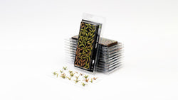 Gamers Grass | Laser Plants | Deer Fern