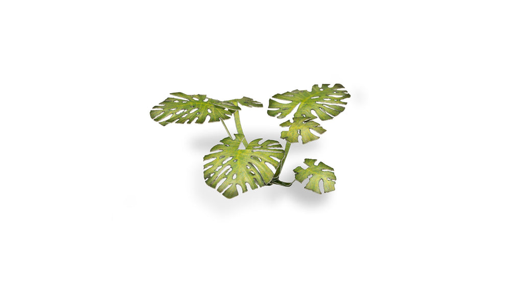 Gamers Grass | Laser Plants | Monstera
