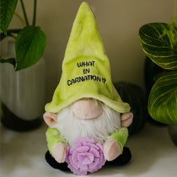 Punchkins Gnome Plush What in Carnation (ONLINE ORDER ONLY)