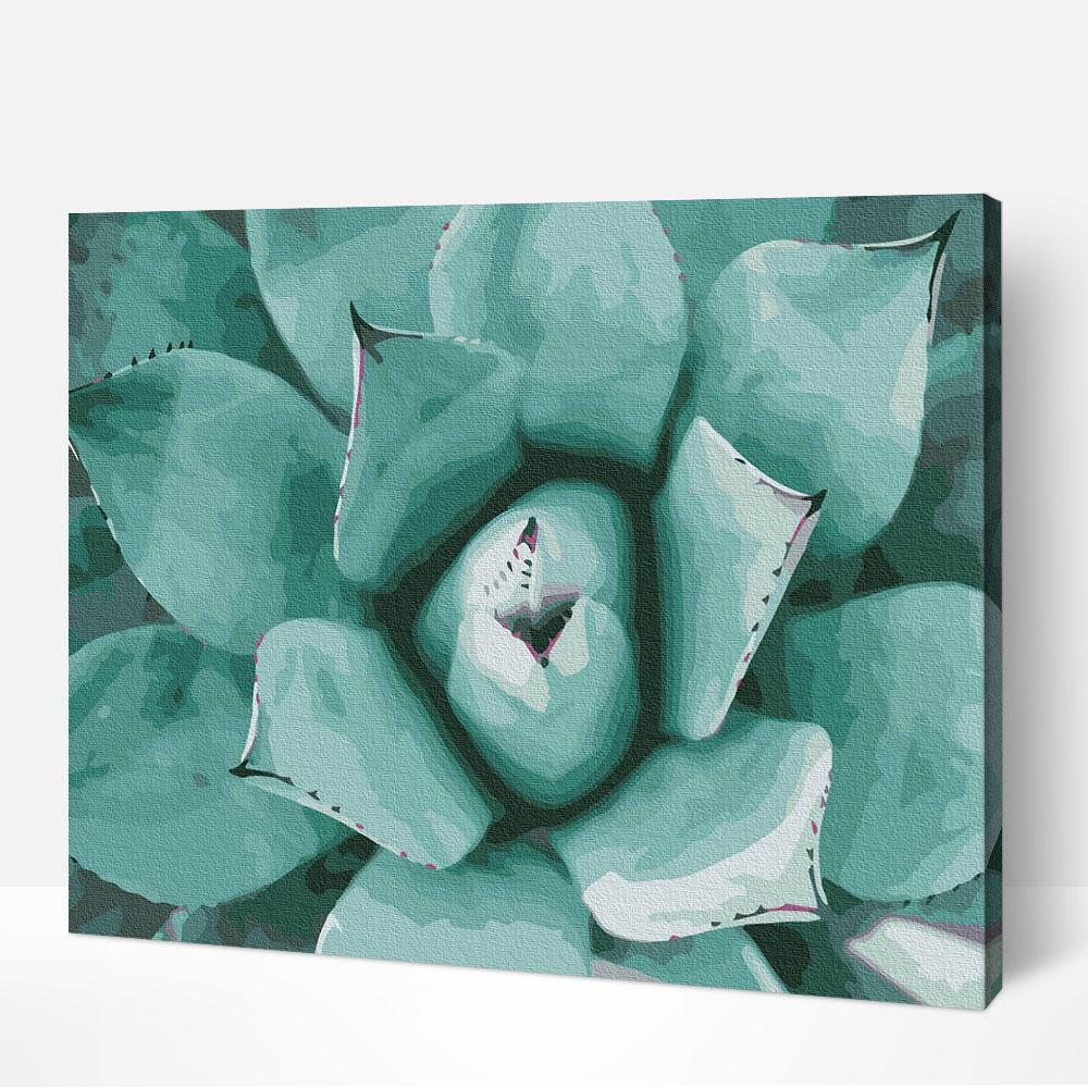 Succulent (ONLINE ORDER ONLY)