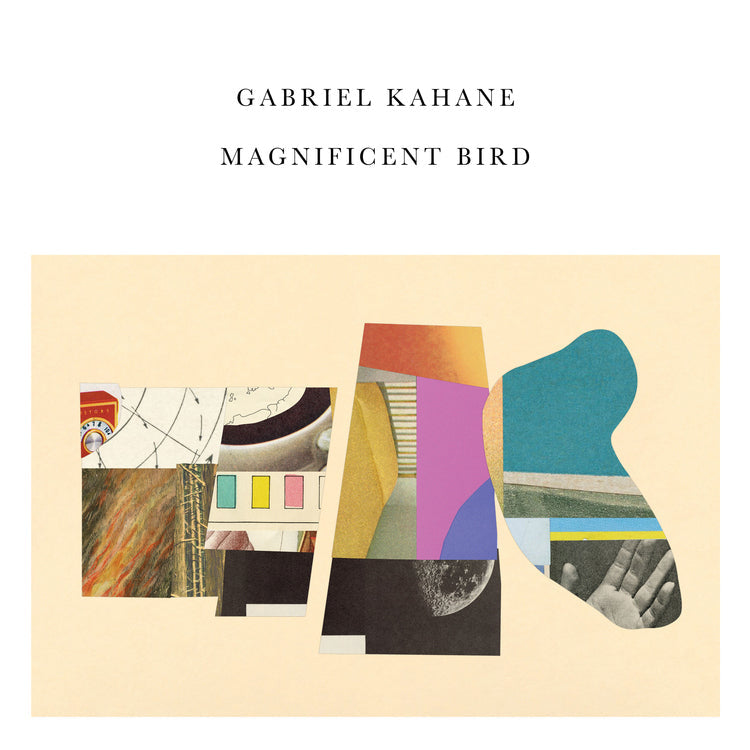 Magnificent Bird [Vinyl]
