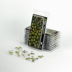 Gamers Grass Laser Plants: Monstera (ONLINE ORDER ONLY)