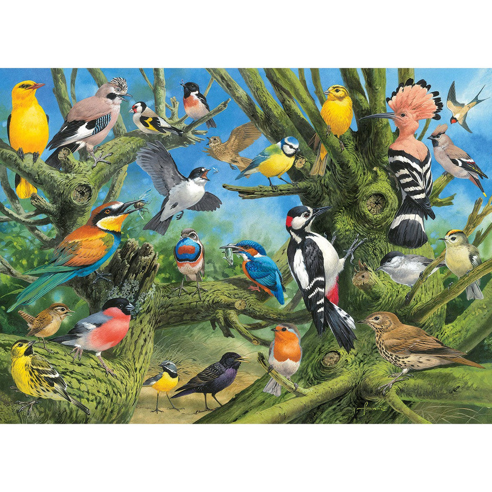 Garden Birds 1000 Piece Jigsaw Puzzle Eurographics (ONLINE ORDER ONLY)