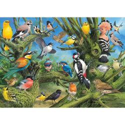 Garden Birds 1000 Piece Jigsaw Puzzle Eurographics (ONLINE ORDER ONLY)