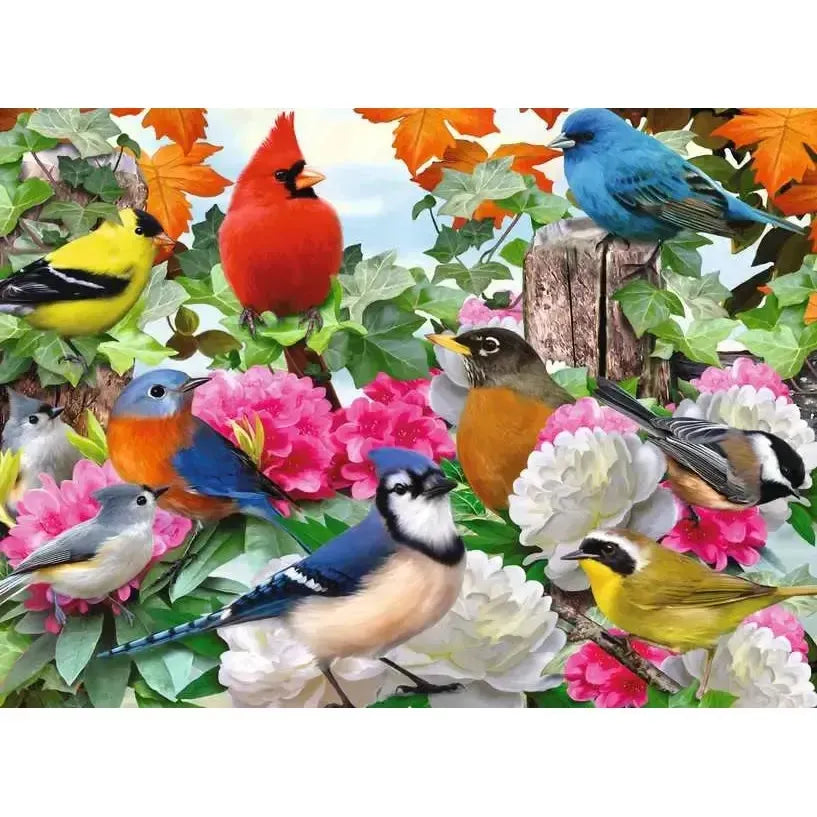 Garden Birds 500 Piece Jigsaw Puzzle Ravensburger