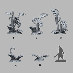 3D Printed Fantastic Plants and Rocks Giant Tropical Plants 28mm - 32mm D&D Wargaming (Online Only)