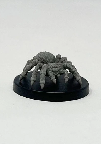 Giant Wolf Spider (ONLINE ORDER ONLY)
