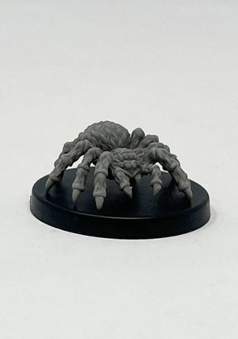 Giant Wolf Spider (ONLINE ORDER ONLY)