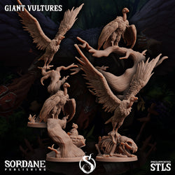 3D Printed Sordane Publishing Giant Vultures Set Burrows Below 28 32mm D&D (Online Only)
