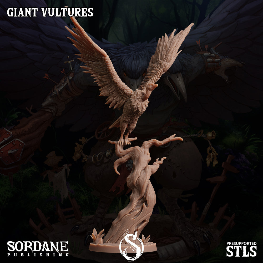 3D Printed Sordane Publishing Giant Vultures Set Burrows Below 28 32mm D&D (Online Only)