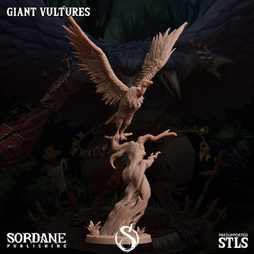 3D Printed Sordane Publishing Giant Vultures Set Burrows Below 28 32mm D&D (Online Only)