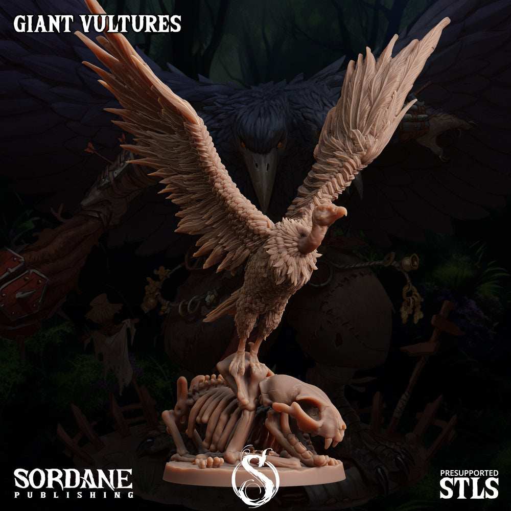 3D Printed Sordane Publishing Giant Vultures Set Burrows Below 28 32mm D&D (Online Only)