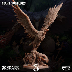 3D Printed Sordane Publishing Giant Vultures Set Burrows Below 28 32mm D&D (Online Only)