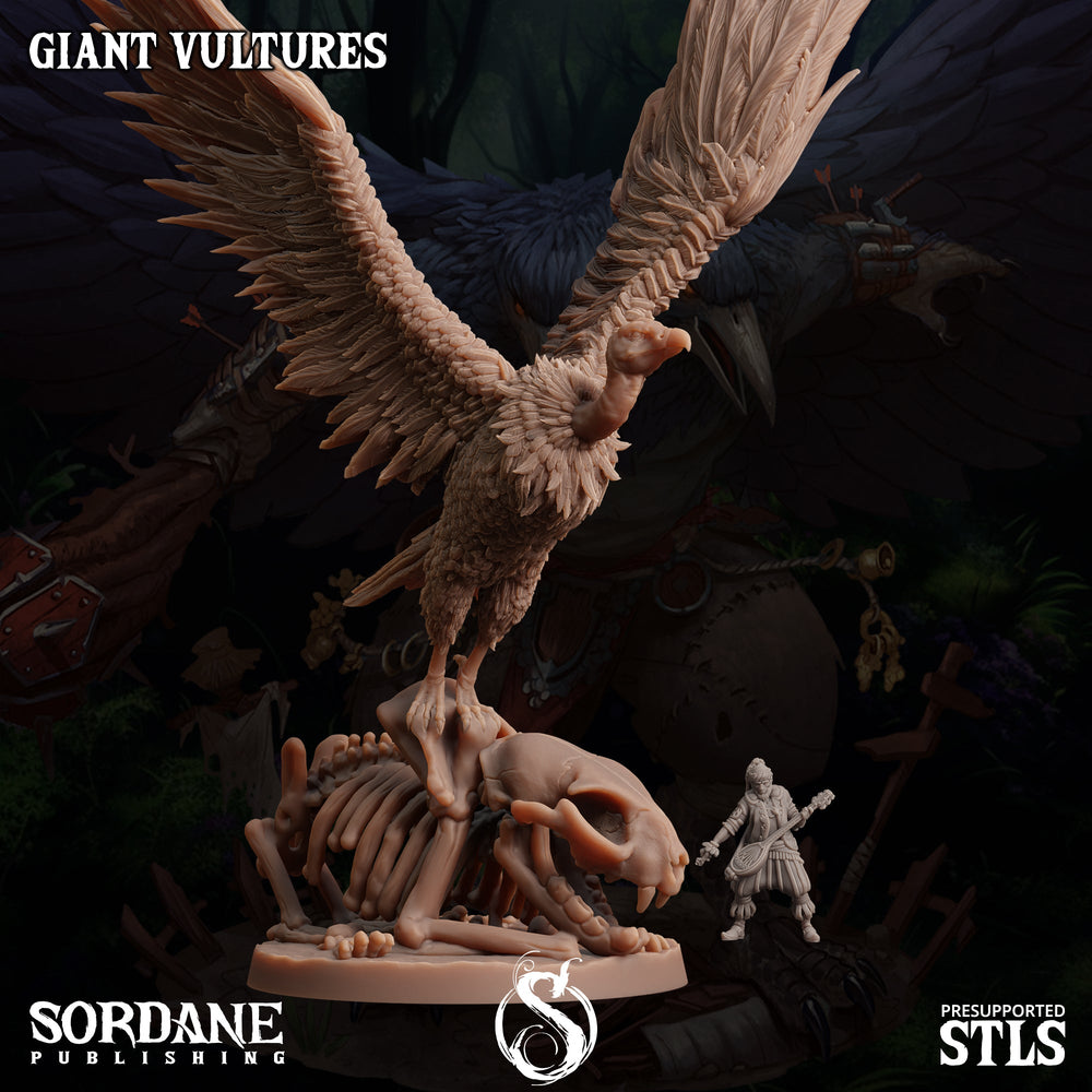 3D Printed Sordane Publishing Giant Vultures Set Burrows Below 28 32mm D&D (Online Only)