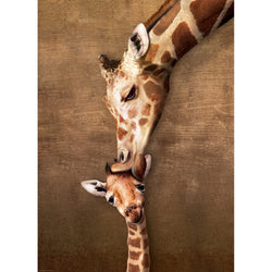 Giraffe Mother's Kiss 1000 Piece Jigsaw Puzzle Eurographics (ONLINE ORDER ONLY)