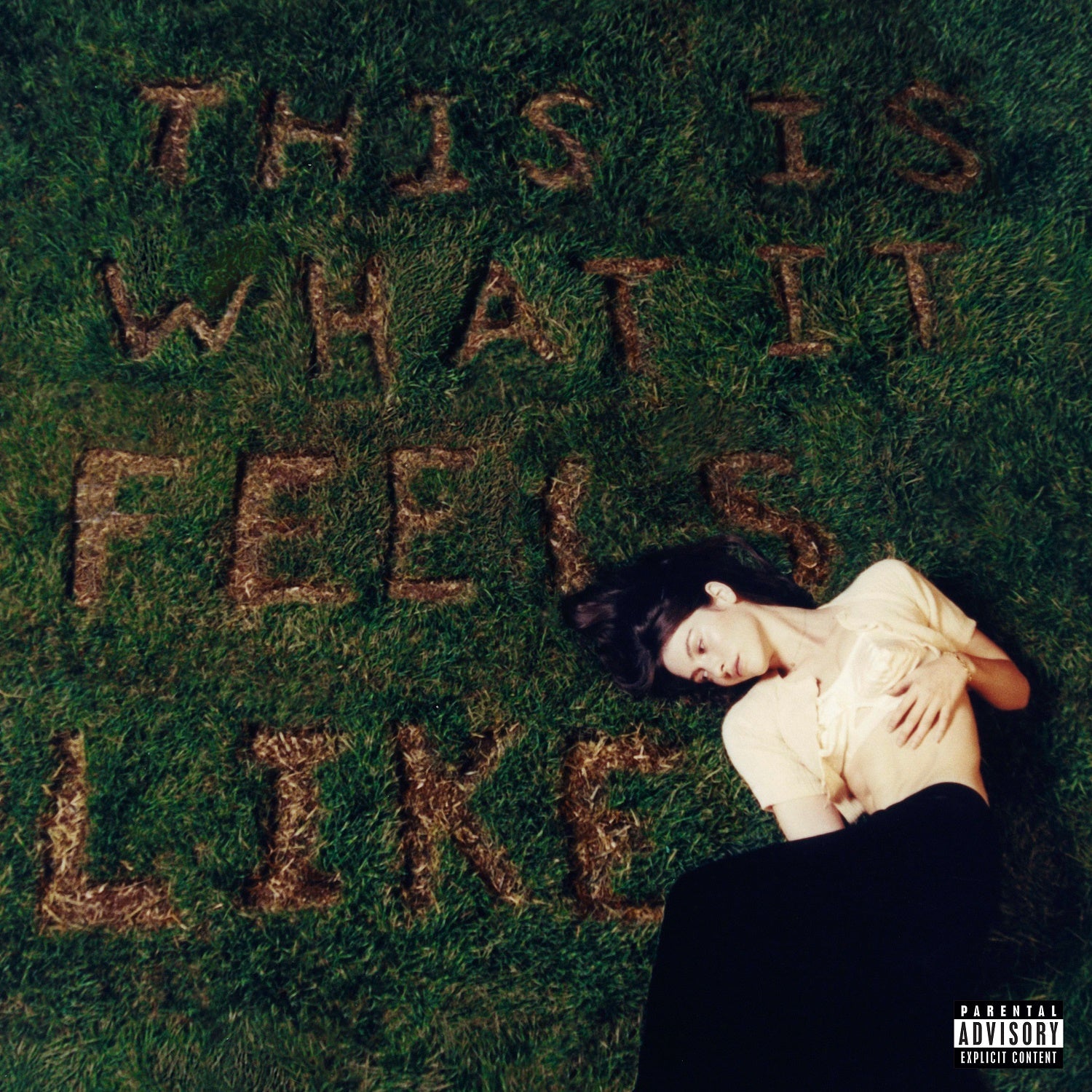 This Is What It Feels Like [LP] [Vinyl] (ONLINE ORDER ONLY)