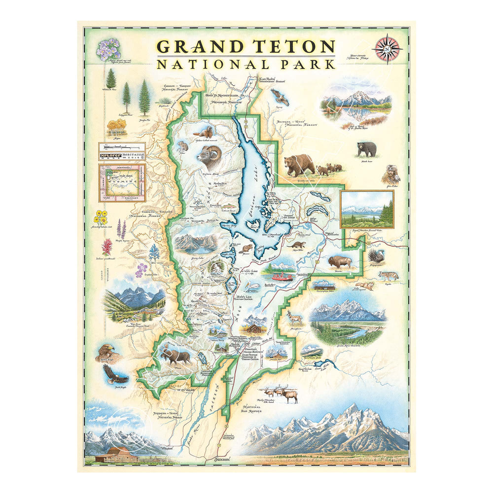 Grand Teton National Park 1000 Piece Jigsaw Puzzle Xplorer Maps (ONLINE ORDER ONLY)