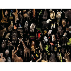 Greatest Hits National Geographic Photo Ark 1000 Piece Jigsaw Puzzle NYPC (ONLINE ORDER ONLY)