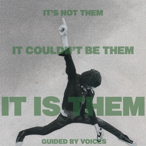 It's Not Them. It Couldn't Be Them. It Is Them! [Vinyl]