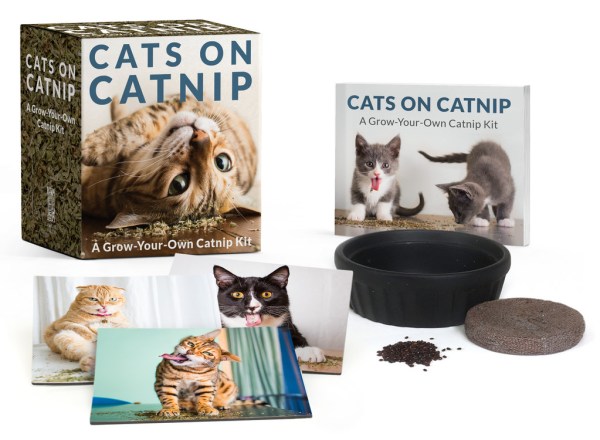 RP Minis: Cats on Catnip - A Grow-Your-Own Catnip Kit (ONLINE ORDER ONLY)